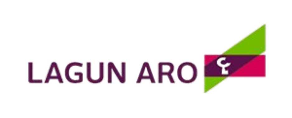 Cliente: Seguros Lagun Aro